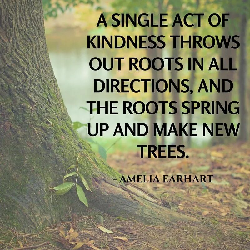 Quotes about Kindness. Kind quotes. The best quotes about Kindness. Quote on Tree. Be kind nature