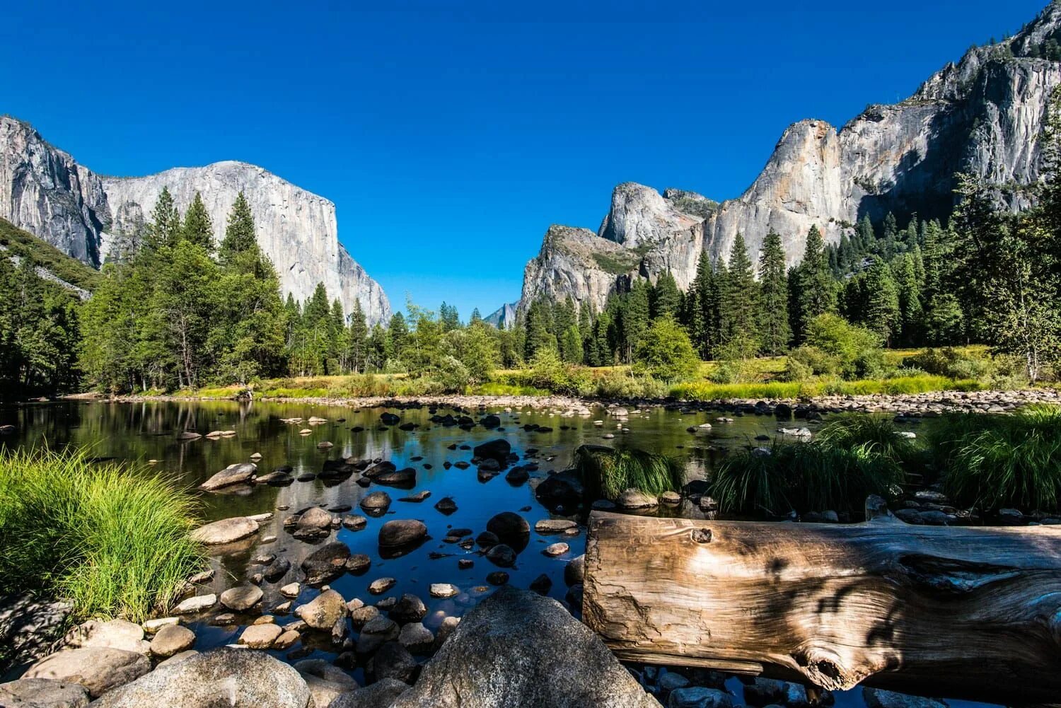 Природа культуры является. Национальный парк Йосемити Калифорния. Национальный парк Йосемити (штат Калифорния). Заповедник Йосемити в США. Йосемит Северная Америка.
