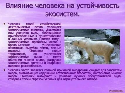 Влияние деятельности человека на игра. Листовка как транспорт влияет на природу картинка. Положительное влияние человека на экосистему. Положительное и отрицательное влияние человека на экосистему. Влияние деятельности на экосистему новороссийска.