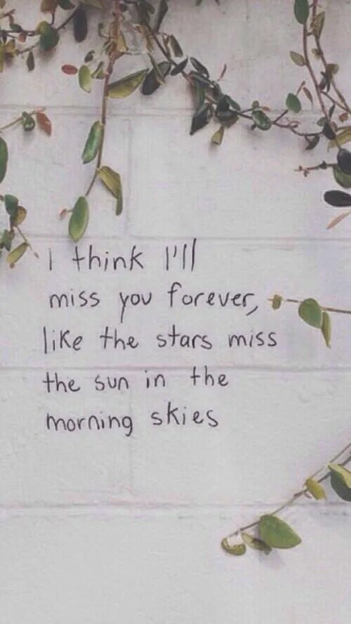 I ll miss you forever. I think i&#039;ll miss you forever like the stars miss the sun in the morning skies. think i&#039;ll miss you forever. you think i&#039;ll miss you. i think i&#039;ll miss you forever like the stars miss the sun in the morning skies эскиз.