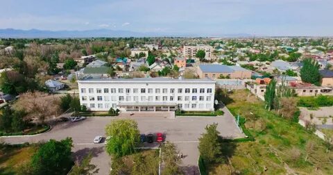 Көлікте кискасымен таяқшада отырған әйелдің видеосы.