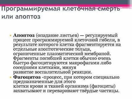 Как происходит гибель клетки