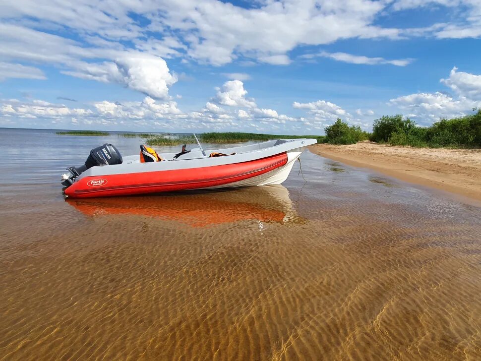 Риб фортис 490 кат. Usv. Лодка фортис 460z. Катер катана. Риб фортис 460z.