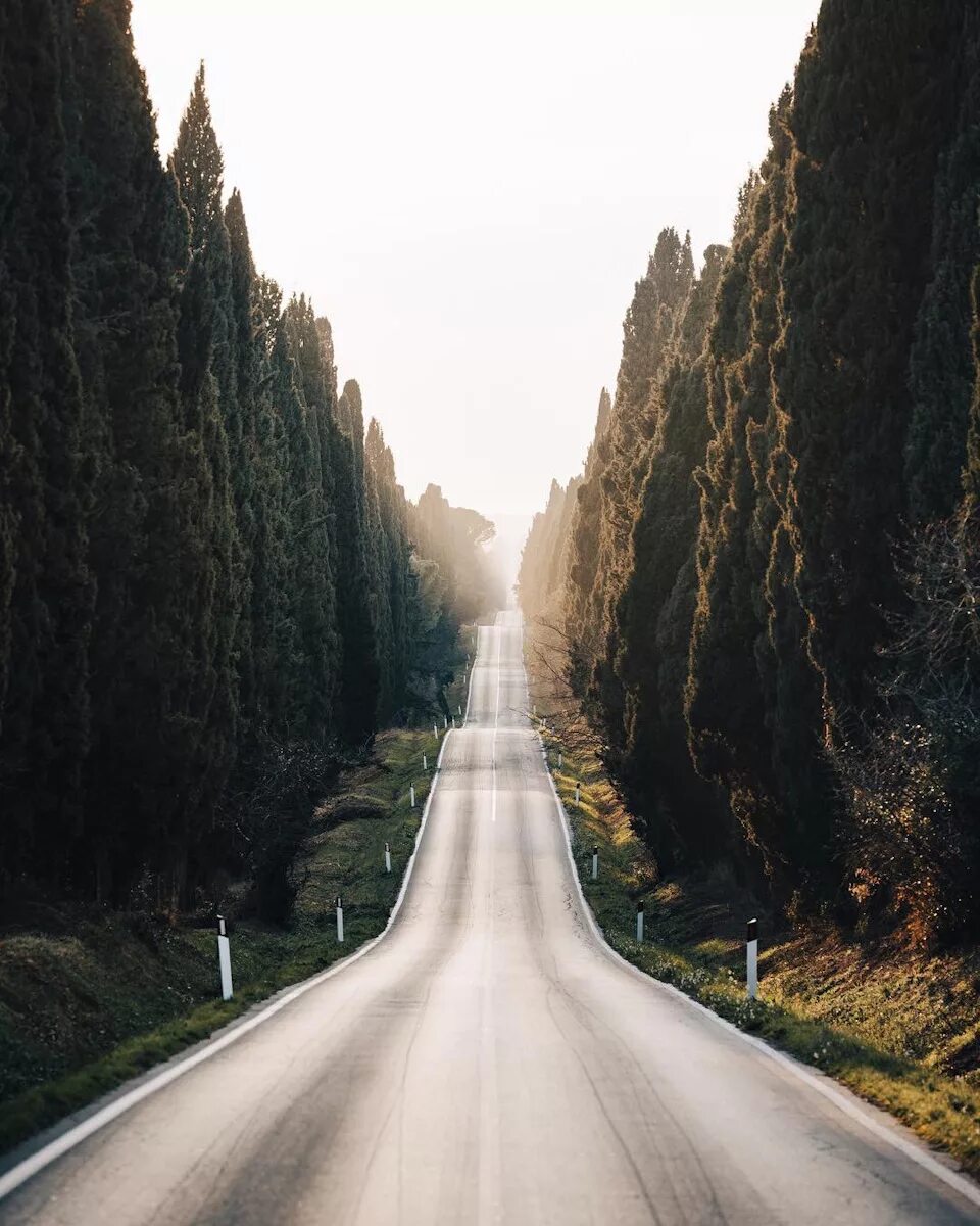 Тоскана Италия трасса. Красивые дороги. Дороха. Деревья вдоль трассы.
