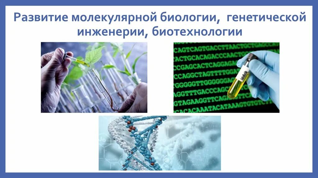 Биотехнология клеточная и генная. Современные биотехнологии. Биотехнология генетическая инженерия. Биотехнология в медицине. Генная инженерия в биотехнологии.
