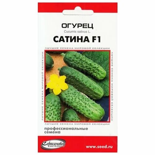 Огурец окошко f1. Семена огурец сатина f1 семко. Сатина огурец описание. Сорт огурцов сатина. Сатина огурец описание.
