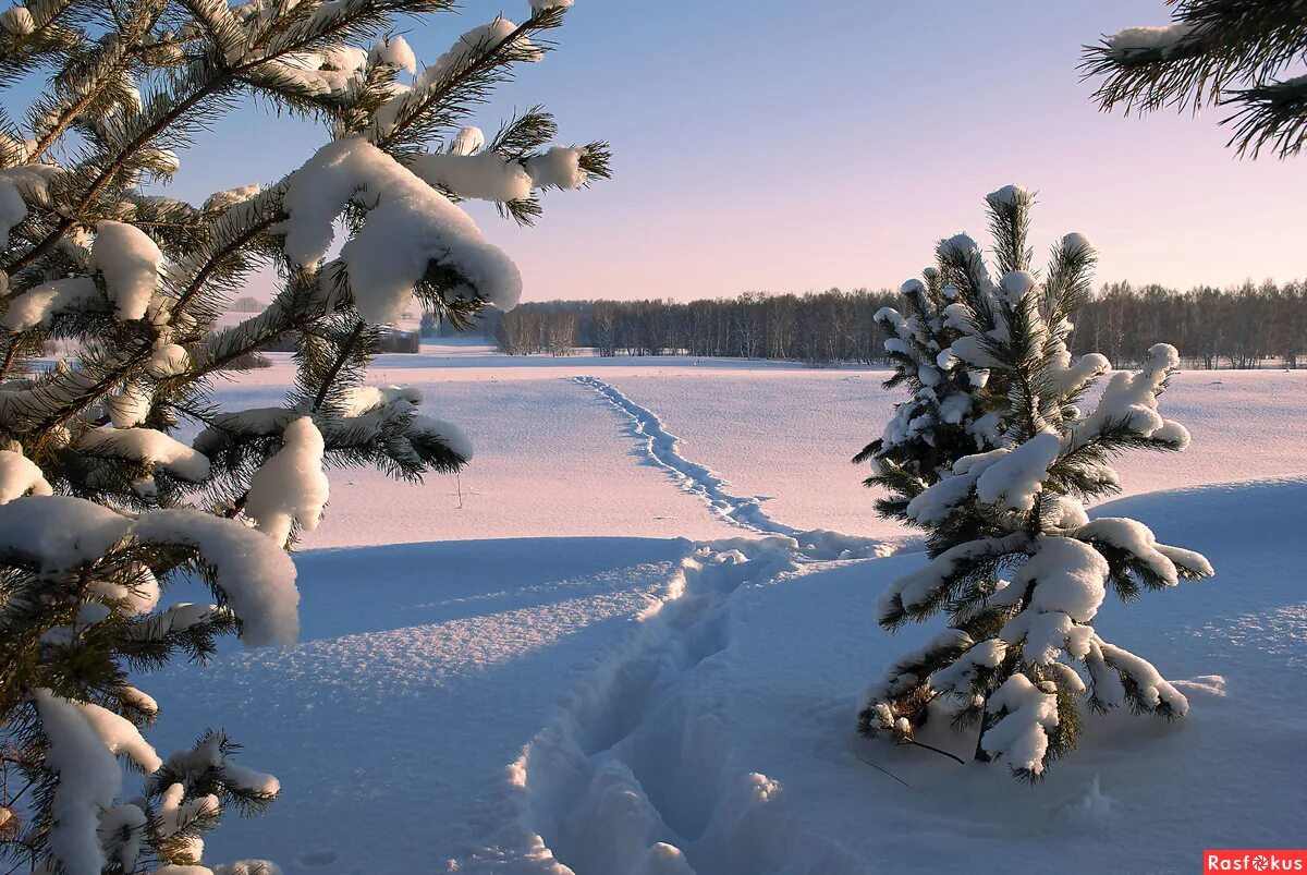 Хорошее зимнее видео. Природа зима. Красота зимы. Красота природы зима. Зимний день.