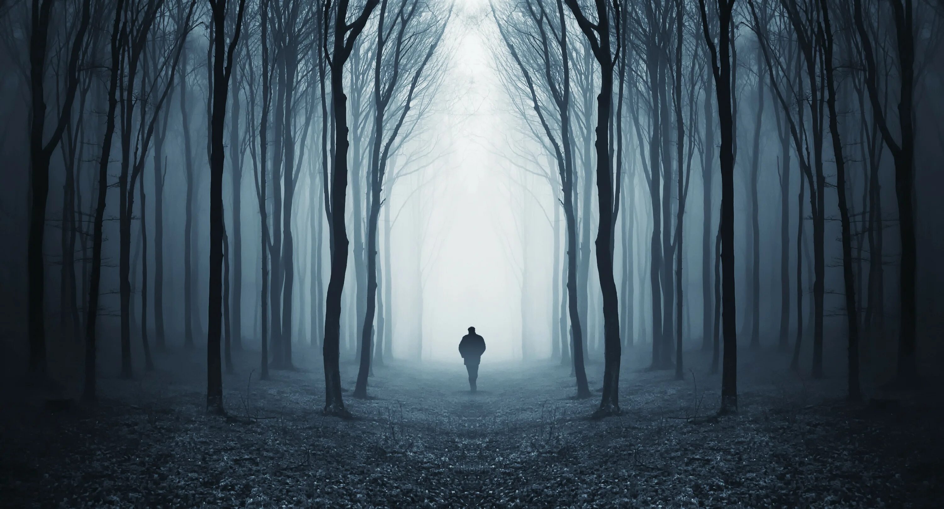 Мрачный никто. Страшный лес. Человек в темном лесу. Темный силуэт в лесу. Ночной лес.