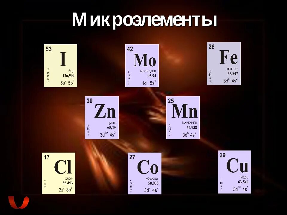 Белок является микроэлементом. Микроэлементы клетки. Химический состав клетки.микроэлементы и микроэлементы клетки.