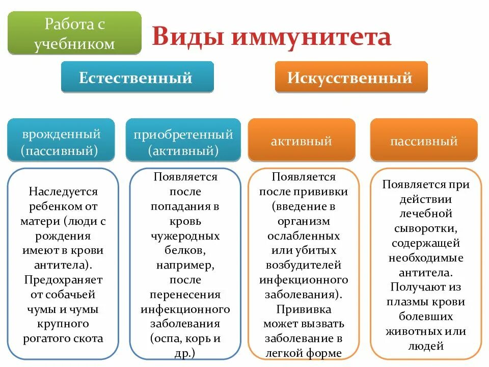 Активный иммунитет формируется в. Иммунитет естественный и искусственный схема. Активный и пассивный иммунитет схема. Искусственный пассивный и активный иммунитет таблица. Активный и пассивный иммунитет таблица.