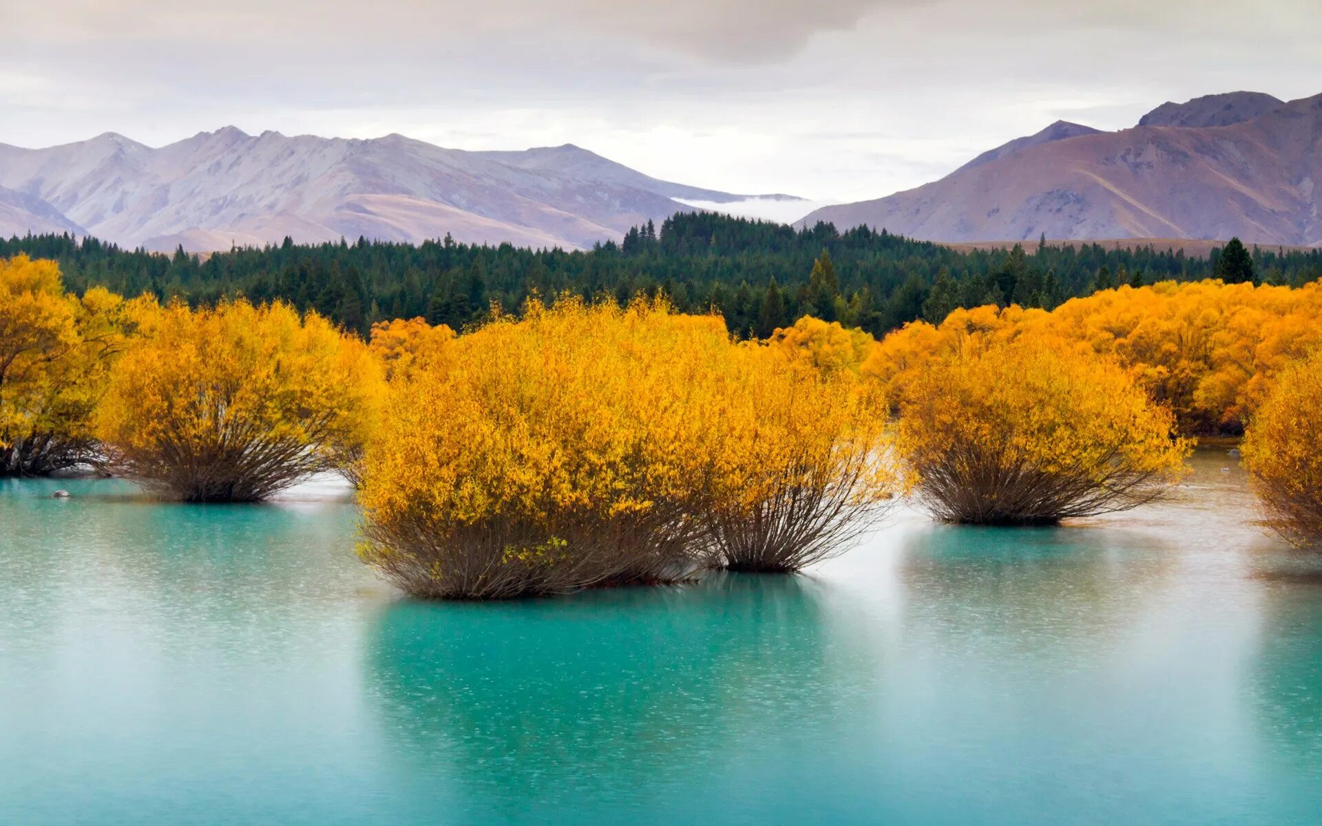 Bing imagine. Голубое озеро новая Зеландия. Озера новой Зеландии. Новая Зеландия фото природы. Пейзажи новой Зеландии.
