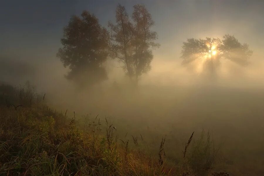 Пелена света. Пелена тумана. Рассвет сквозь туман. Свет сквозь туман. Человек в тумане с рассветом.