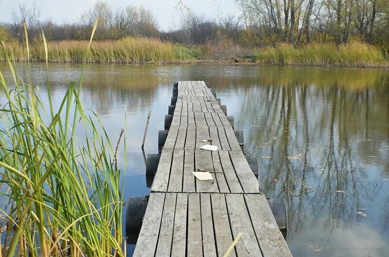 Криволучье ивановка. Криволучье Сура. Сура Криволучье-Сура. Сельское поселение Криволучье-Ивановка. Киреевский район деревня Криволучье.