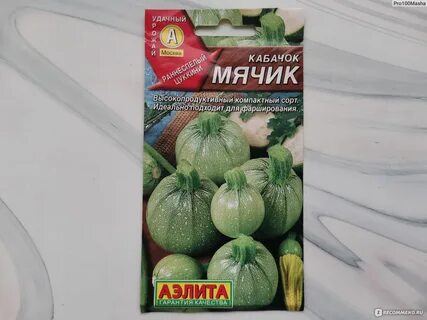 Кабачок сорта мячик