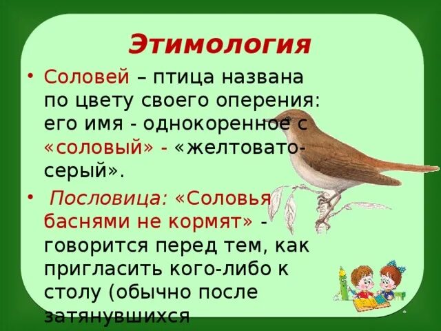 Происхождение названий птиц. Поговорки про соловья. Пословицы про соловья. Этимология названий животных и птиц.