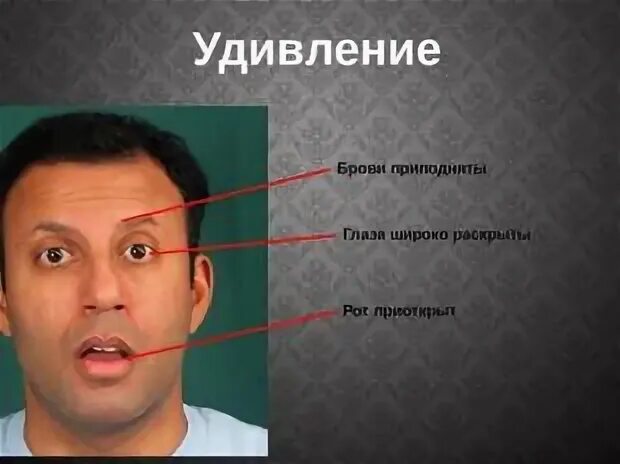 Его удивило что