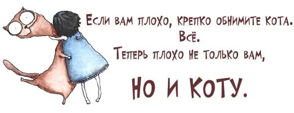 Тебя надо обнять. Если вам плохо обнимите кота. Если тебе плохо обними кота. Если вам плохо крепко обнимите кота. Обнимаю юмор.