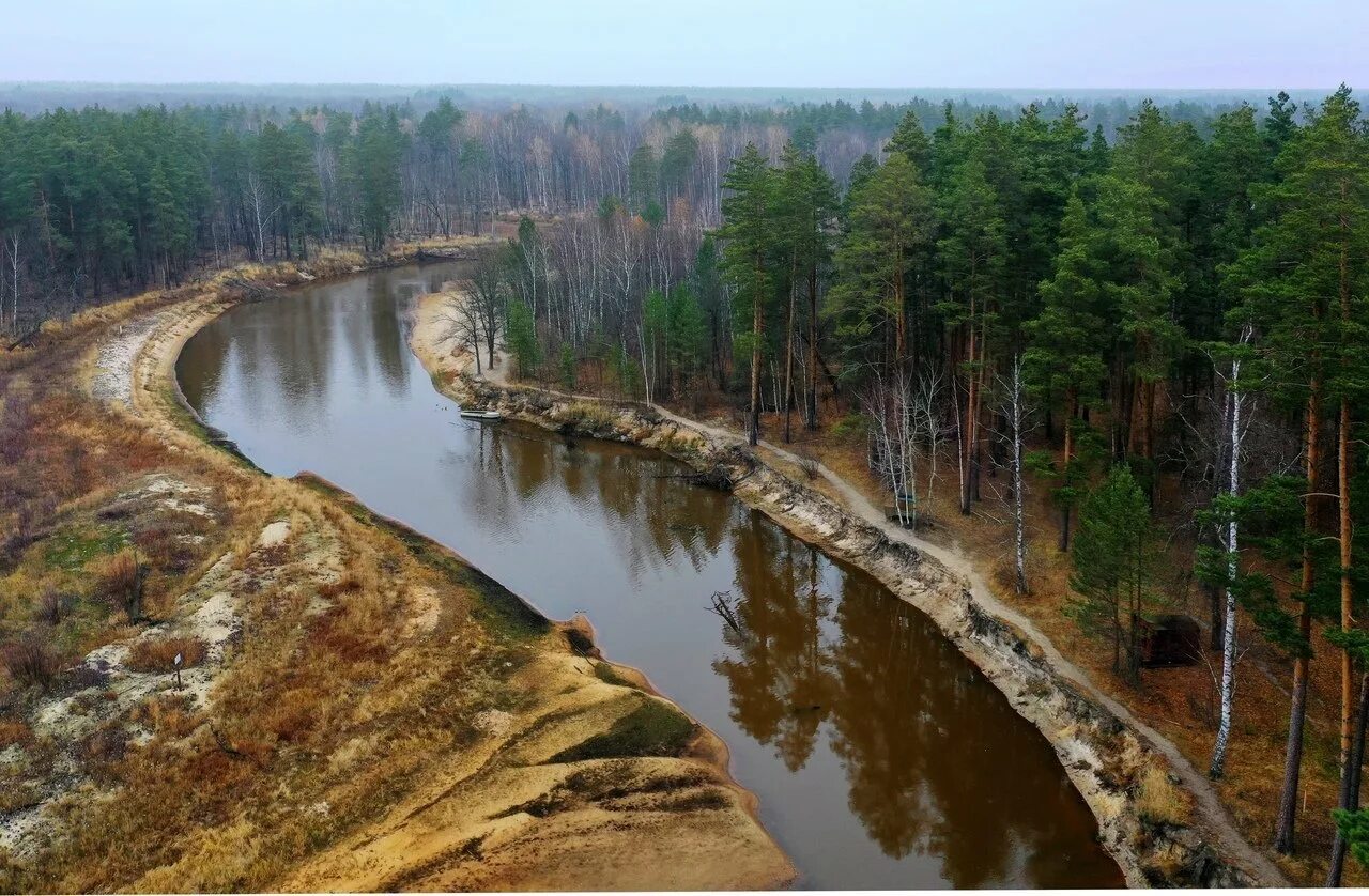 Окский заповедник река пра. Река пра Мещера. Солотча река пра. Солотча извилистая река