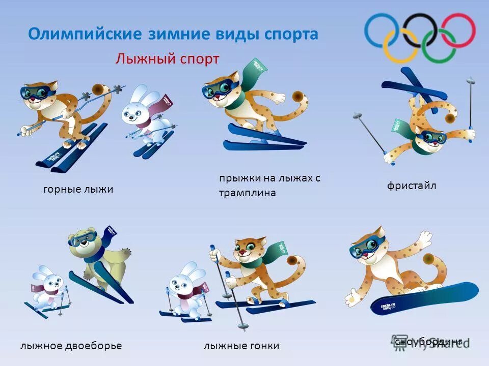Зимние виды олимпийских игр. Зимние виды спорта. Зимние виды спорта на олимпиаде. Зимние виды спорта олимпийских игр. Зимне олимпйскиевиды спорта.
