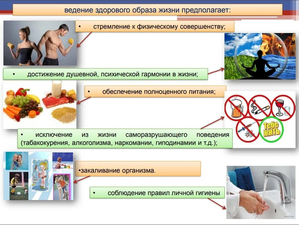 Программа здоровье жизнь