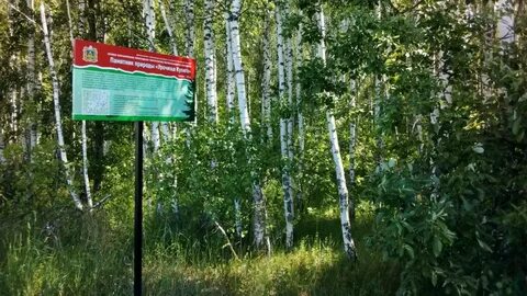 Лесничество особо охраняемая природная территория