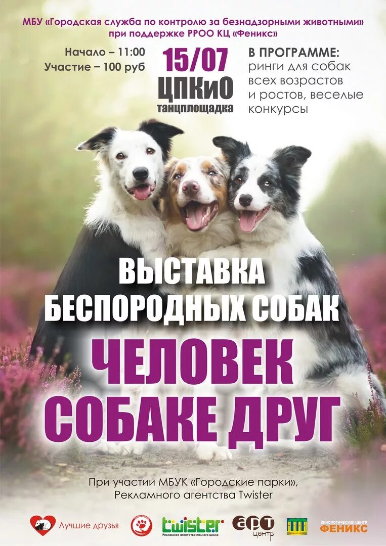 Выставки в субботу