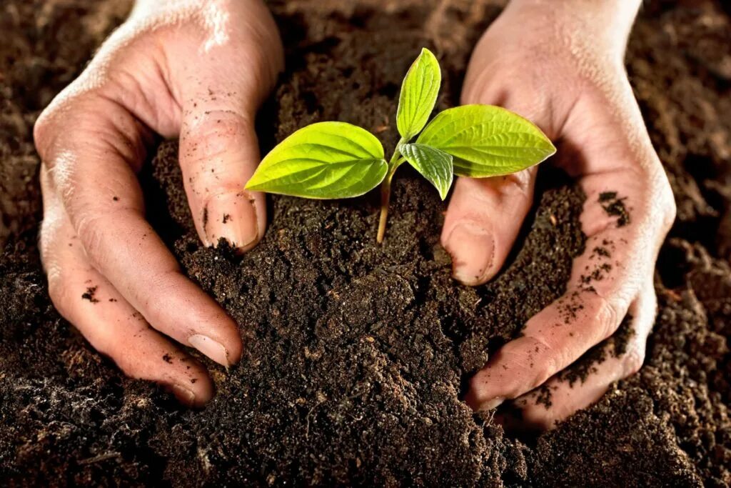 Повышение плодородия земель. Земля гумус. Грунт Soil. Плодородная земля. Плодородие почвы.