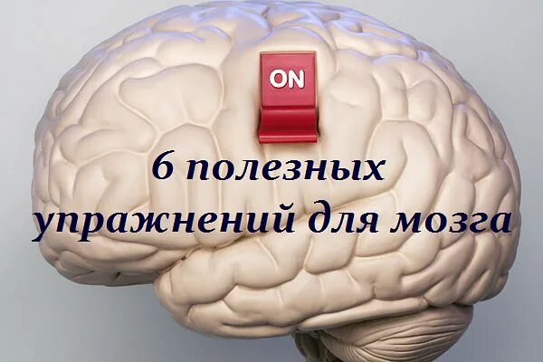 Упражнения для мозга. Тренировка мозга и памяти. Интеллектуальные упражнения для мозга. Упражнения для мозга и памяти.