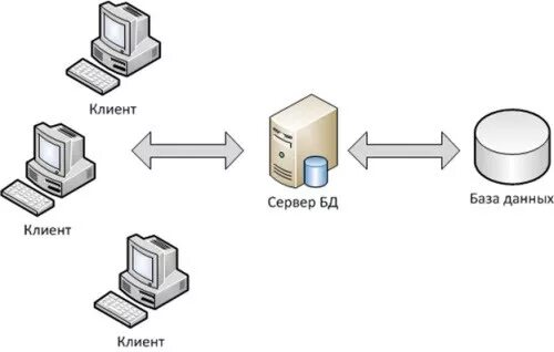 Анонимный канал. • oracle net. Архитектура сети клиент сервер. Структурная схема клиент серверного приложения. Двухзвенная архитектура и трехзвенная.