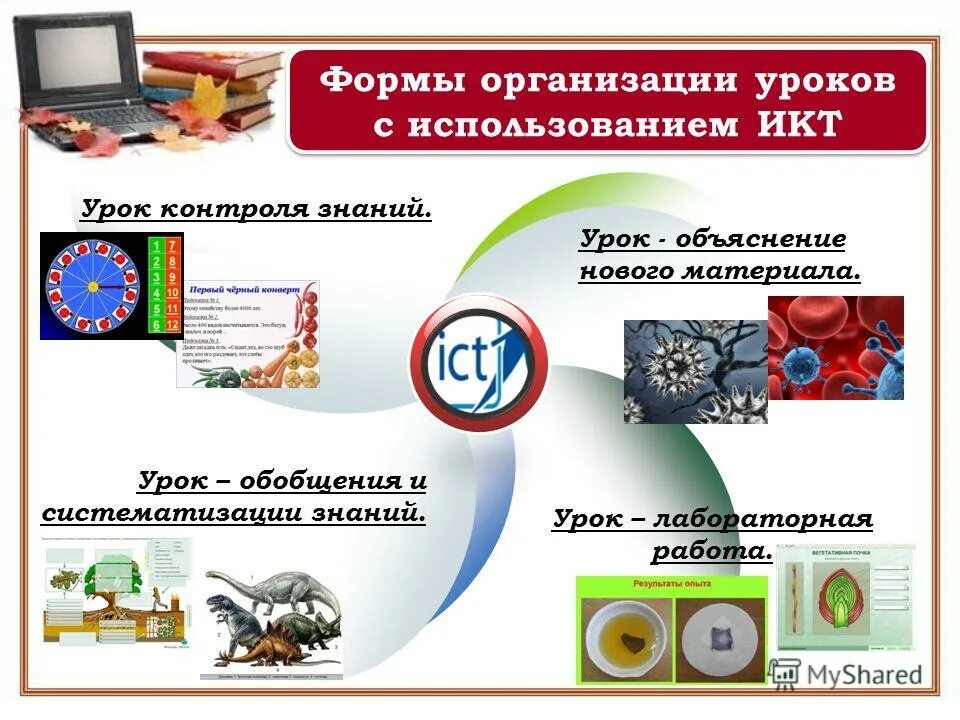 Материал к уроку знаний