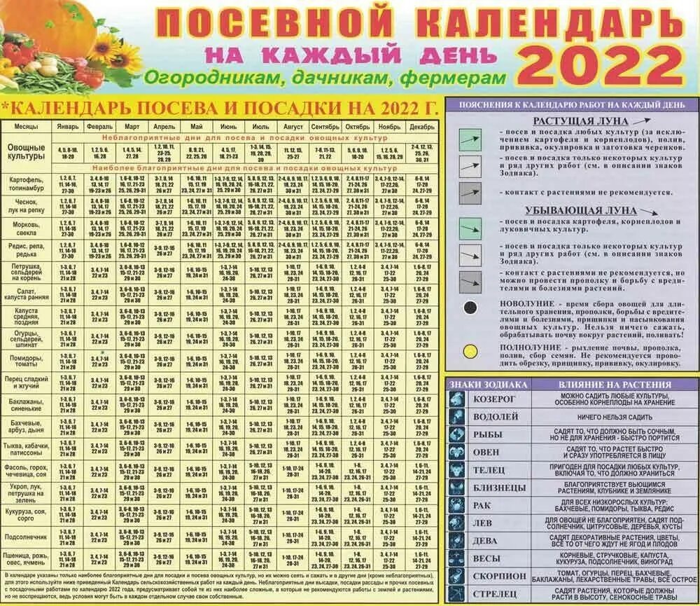 Календарь садовода январь 2024 года. Лунный посевной календарь на 2022. Календарь огородника на 2022 лунный посевной. Таблица посадок овощных культур в 2022 году. Лунный посевной календарь на 2022 год.