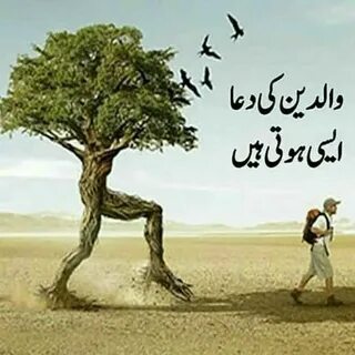 True words
