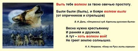Фразеологизм слову волк