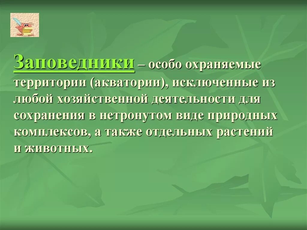 Охраняемые природные территории. Охрана природы и охраняемые территории. Охраняемые территории заповедники.