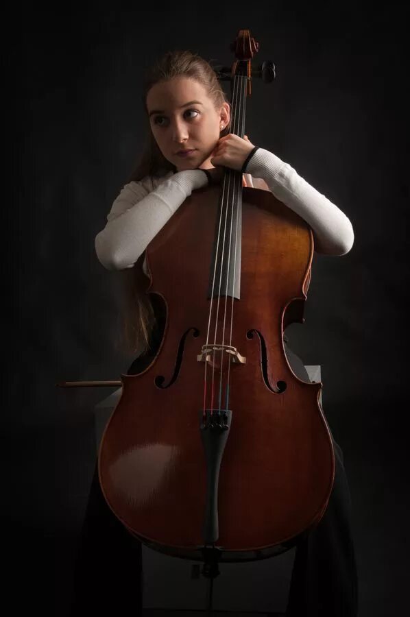 Violin cello. Контрабас фотосъемка.