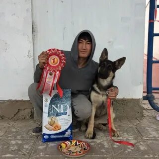 Мен онлайн порно арқылы студентті азғырдым.