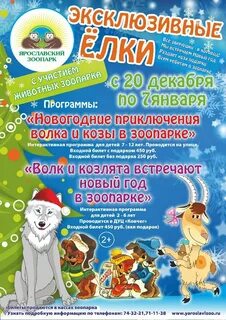 Зоопарк работа в новогодние праздники