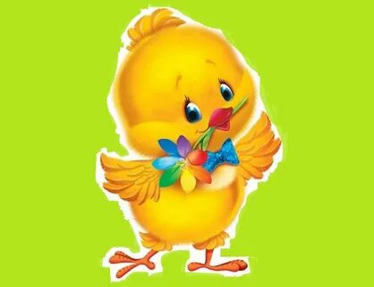 Шұлықтағы әйелдер аяқтарының порносы