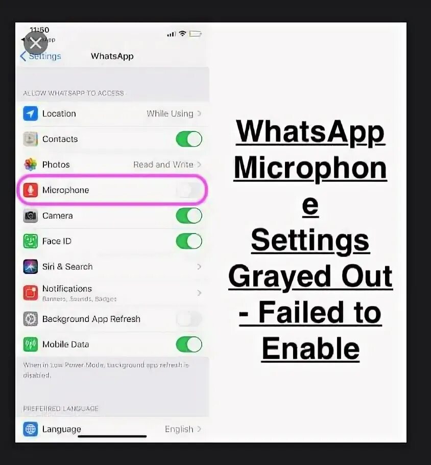 Микрофон в ватсапе. Отключение микрофона в WHATSAPP. Выключить микрофон в ватсапе. Как включить микрофон в вацап. Доступ к микрофону в ватсапе