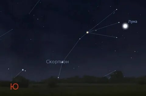 Как называется яркая звезда альфа скорпиона