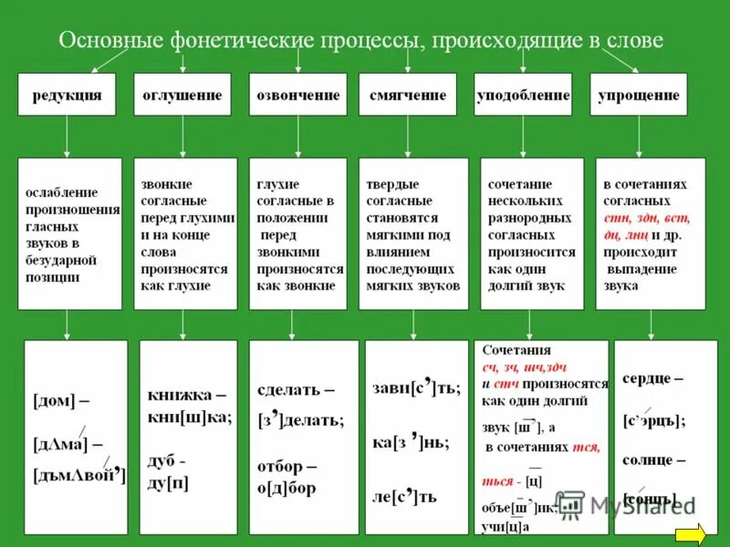 Фонетические процессы в русском языке. Виды фонетических процессов. Фофонетические процессы. Фонетические процессы в слове.