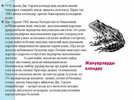 Мені сорып алды