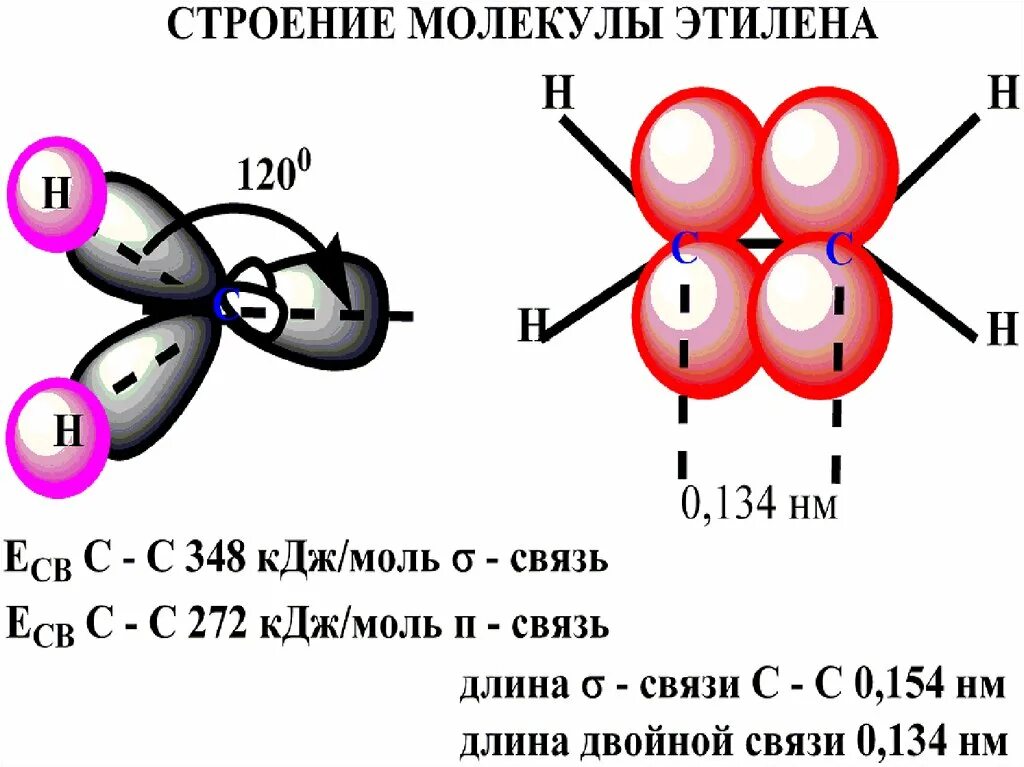 О 3 какая связь. Какое строение у молекулы этилена. Длина двойной связи алкенов. Какое строение молекулы этен. Длина связи алкенов.