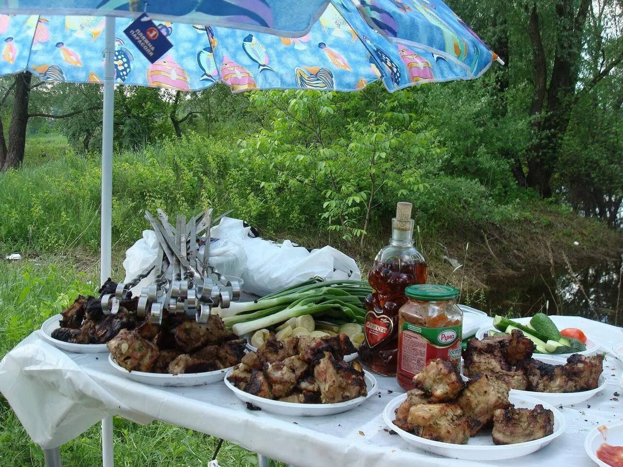 Солей на шашлыке. Шашлыки на природе. Стол на природе с шашлыками. Стол на природа с шашликам. Шашлык и водка на природе.