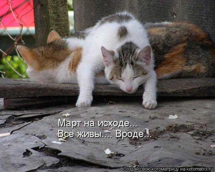 у бога все живы картинки. главное чтобы все были здро. перекличка все живы. главное что все живы и здоровы. все живы.