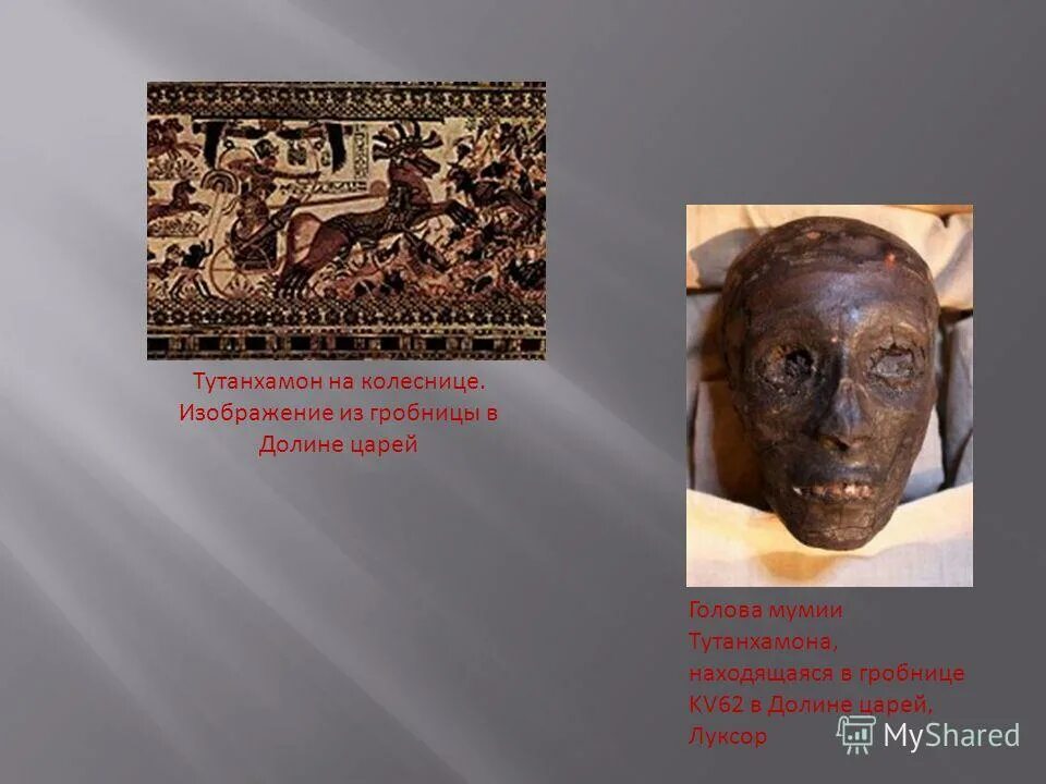 Тутанхамон гробница. Саркофаг тутанхамона 1922. Фараон тутанхамон гроб. Тутанхамон где находится гробница сейчас. Гробница тутанхамона в египте.