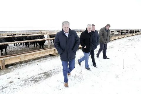 Погода камаган курганская область
