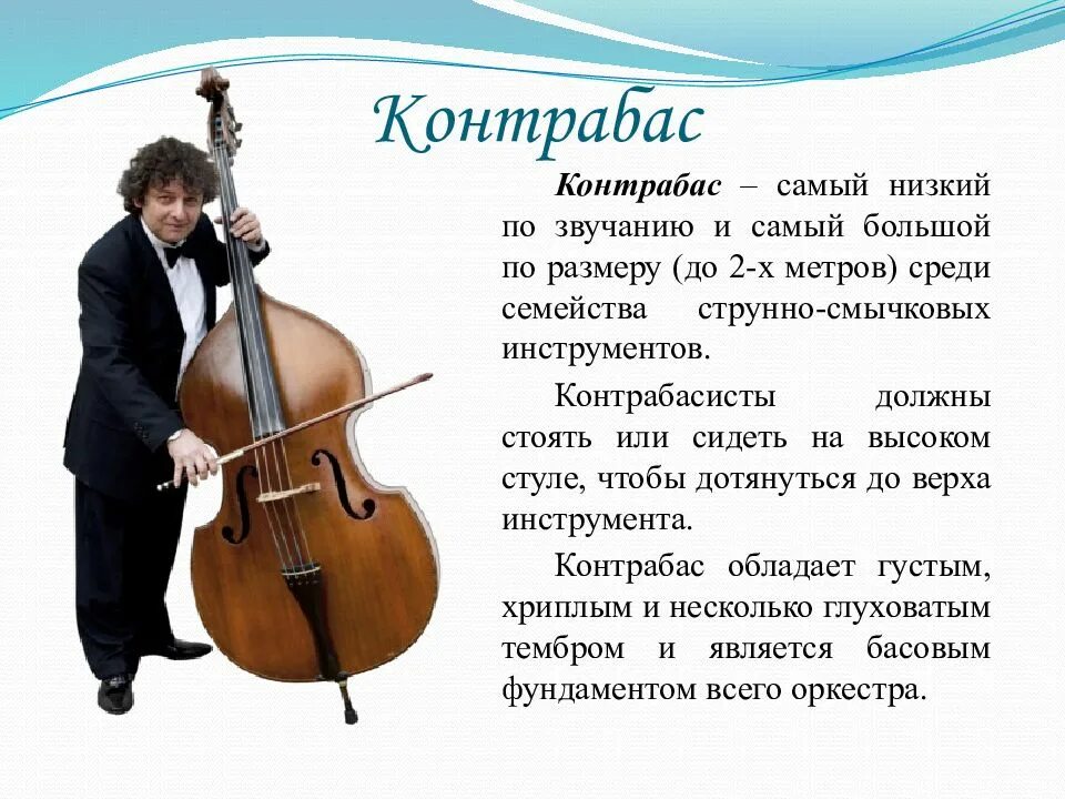 музыкальный инструмент со смычком. смычковые инструменты звучание. инструменты симфонического оркестра контрабас. струнно смычковые инструменты для детей. струнно-смычковые музыкальные инструменты.