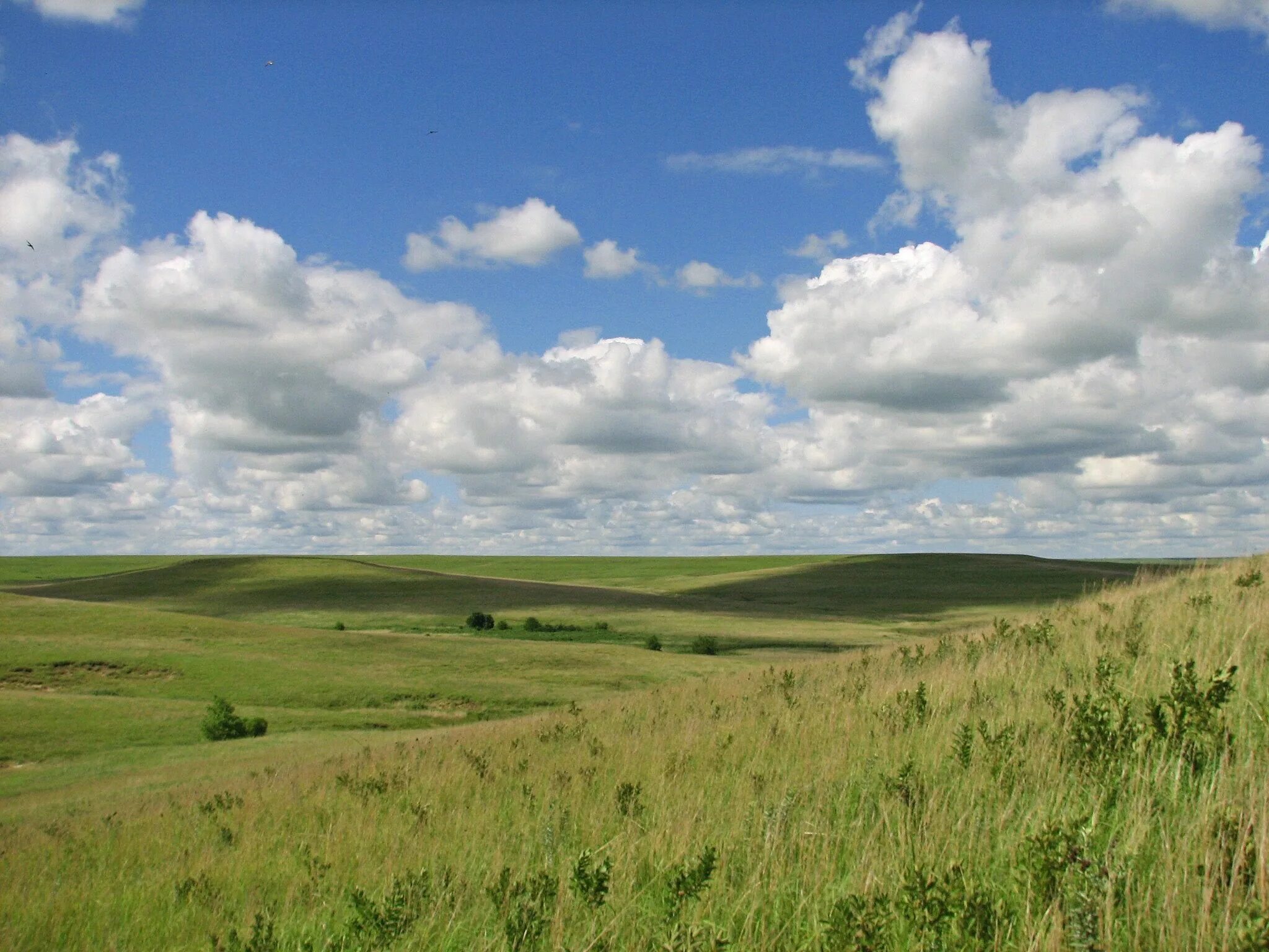 Равнины 200 500 метров. Национальный заповедник Tallgrass Prairie. Канзас степь. Прерии. Равнина ландшафт.