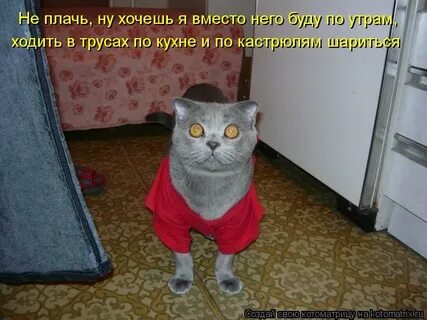 Смешные картинки написано смешно